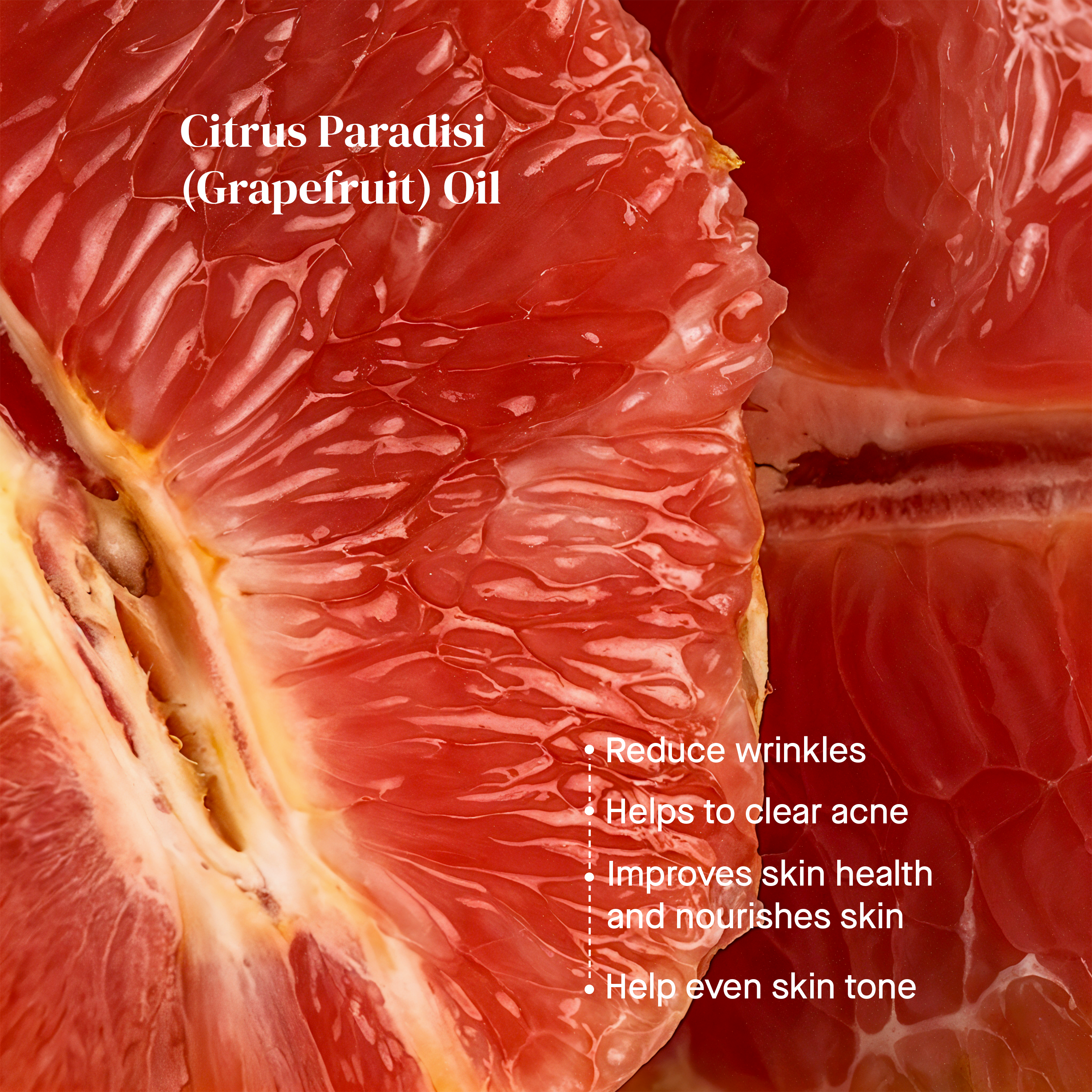 Daily Repair Crème