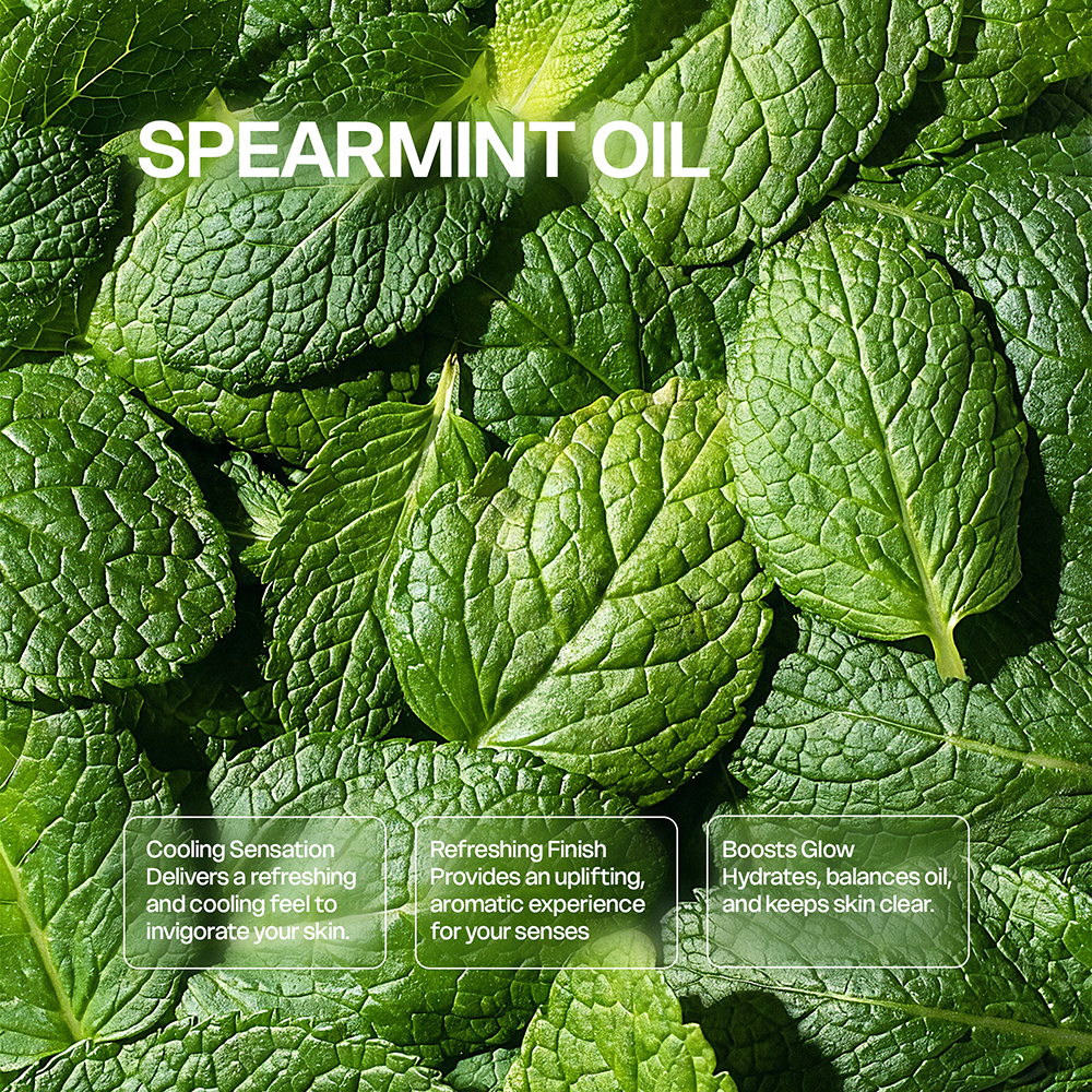 2 Pack Tallow Zinc Sun Stick