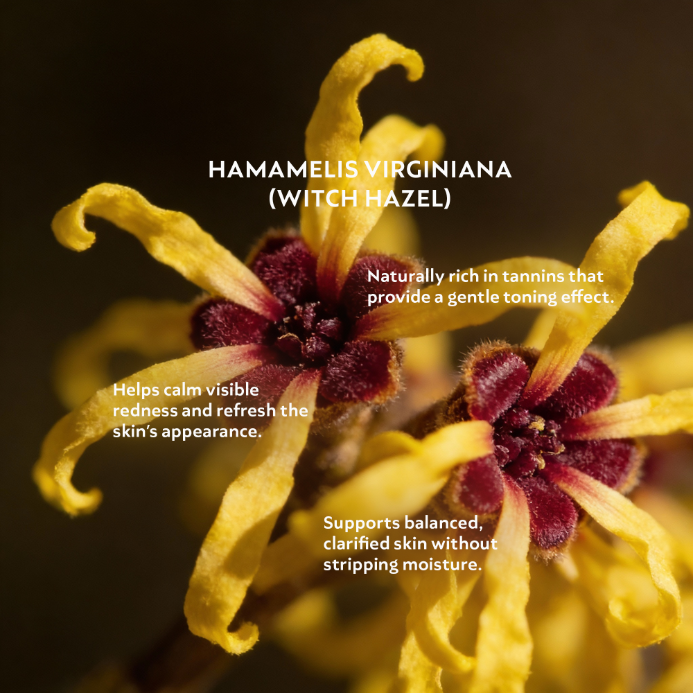 Advanced Multi-Peptide + Copper Peptide Complex Serum